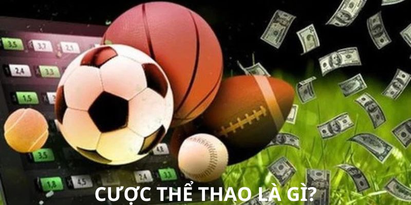 Giới thiệu cược thể thao là gì