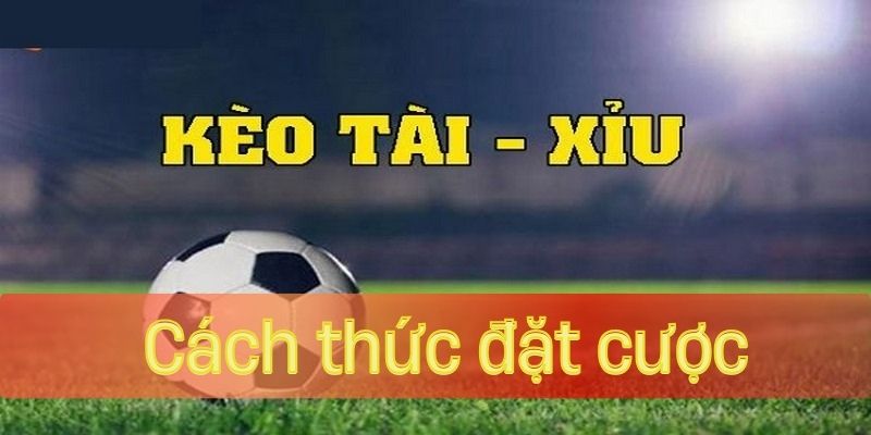 Bật mí cách thức đặt cược hay giúp bạn kiếm tiền